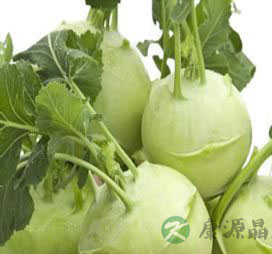 立冬过后吃什么最养生 南瓜补血山药补气