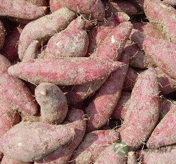 女人养颜排毒吃什么好 吃这些养颜排毒不用愁