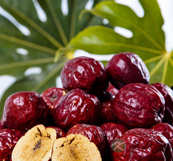 老年人养生常识 夏季老年人吃什么水果好