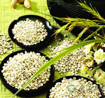 薏米的作用与功效及食用方法 薏米的营养价值