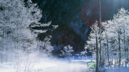 中医养生学九大流派