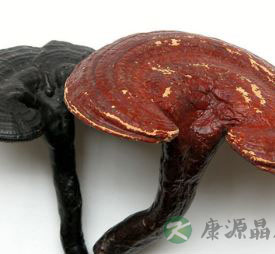 引起慢性支气管的因素 防治其病的中医药方