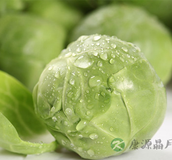 吃什么排毒 八招助扫清身体垃圾 吃什么排毒 八招助扫清身体垃圾