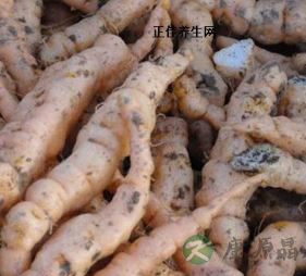 咽喉肿痛怎么办 各种中医药方帮你解决痛苦