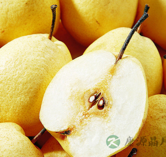 吃什么润肺 6款药膳食物保护你的肺 吃什么润肺 6款药膳食物保护你的肺