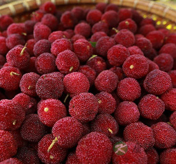 饮食养生常识 糖尿病患者可以吃杨梅吗