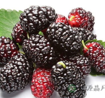 肝肾阴虚吃什么好?推荐8款养肝补肾食疗方 肝肾阴虚吃什么好?推荐8款养肝补肾食疗方