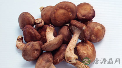 “蘑”出健康 鲜美营养