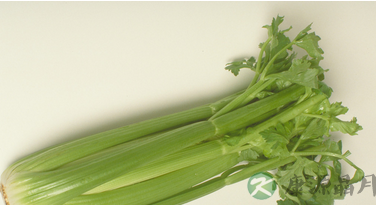 芹菜治疗疾病的15种偏方 芹菜治疗疾病的15种偏方