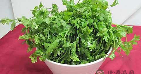 剖腹产坐月子能不能吃香菜