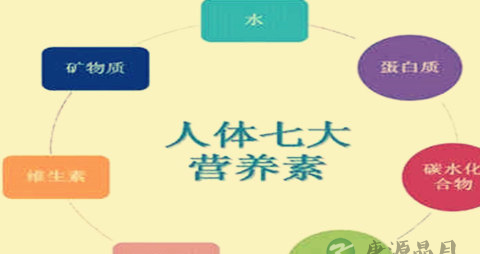 【孩子发育必需营养素】什么营养素是孩子发育所必须的？