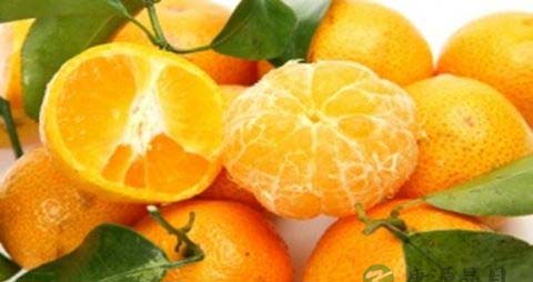 宝宝咳嗽吃什么食物好