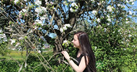 宝宝湿疹最佳治疗方法_婴儿湿疹最佳治疗方法 宝宝湿疹最佳治疗方法_婴儿湿疹最佳治疗方法