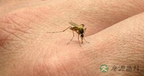  蚊虫叮咬怎么办_预防蚊虫叮咬方法