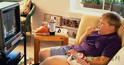 儿童肥胖的影响_儿童肥胖有什么危害