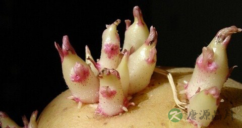 宝宝食物中毒急救大全_宝宝食物中毒急救方法