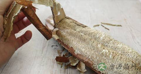 儿童过敏性鼻炎怎么治_儿童过敏性鼻炎治疗