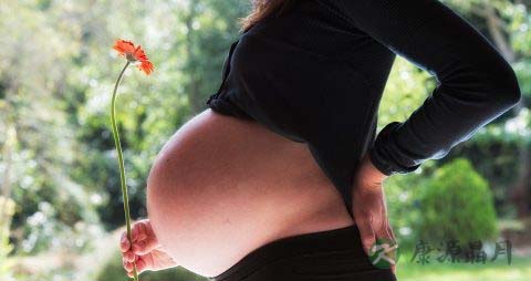 孕妇能吃花甲吗