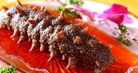 孕妇海参能吃吗