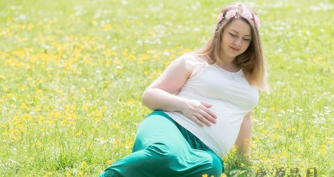 孕28周胎儿发育情况