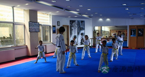 小孩几岁学跆拳道好_要怎样学跆拳道
