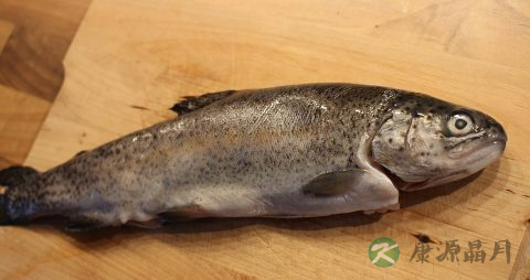 宝宝补钙的食物有哪些