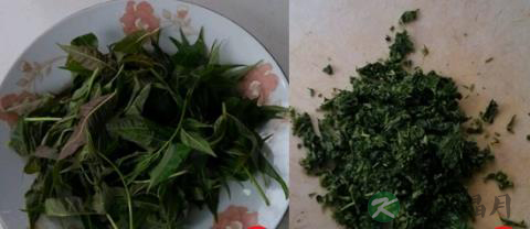 春天不能错过的健康绿色美食：香椿鸡蛋卷