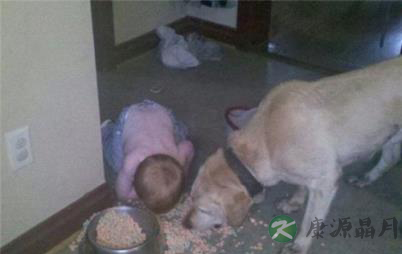 宝宝和萌宠同框 你先救谁？这是一道送分题