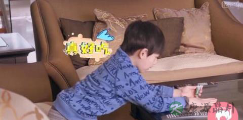 董洁是好妈妈吗？因为顶顶 她与父亲吵不停
