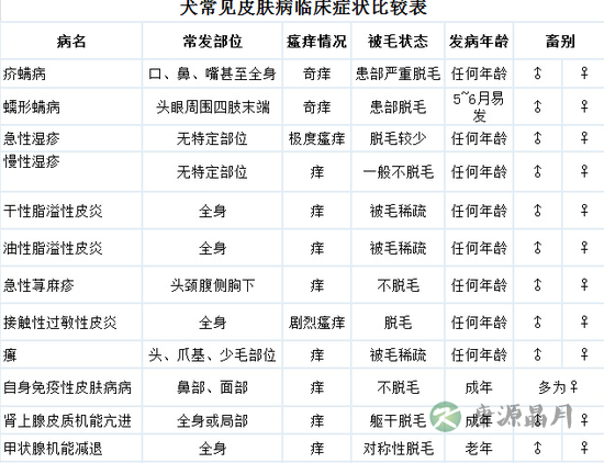 总爱得皮肤病的毛小孩究竟是为啥？