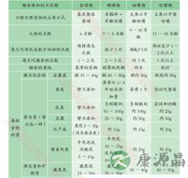 儿科医生妈妈：不同阶段的辅食添加