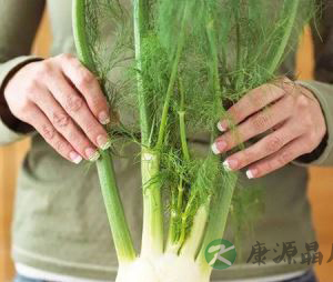 寒假里和孩子一起体验水培蔬菜的乐趣！