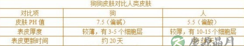 总爱得皮肤病的毛小孩究竟是为啥？