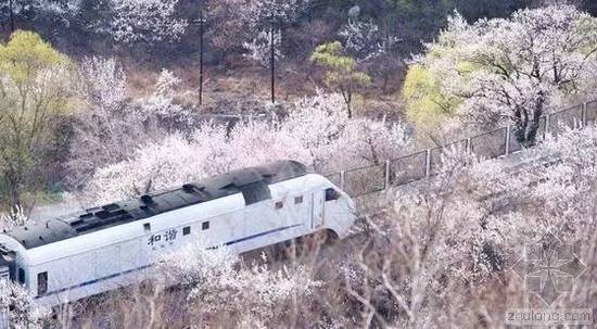 9条适合亲子的列车旅游线路