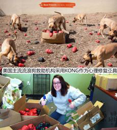 换毛季：拯救“疯一般”的宠物！