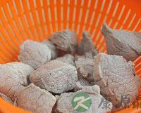 自制无添加剂宝宝肉松 好看又好吃