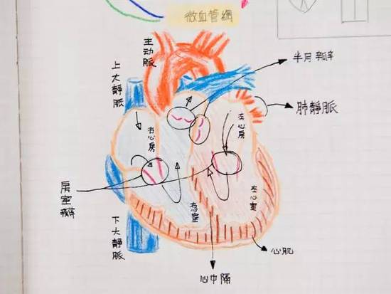 台湾中小学生最值得借鉴的 可能是这种学习方法