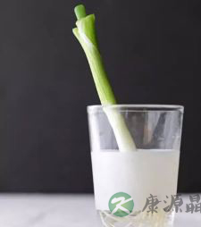 寒假里和孩子一起体验水培蔬菜的乐趣！