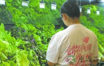 孕妇不显怀 坐公交爱心座被老人打骂