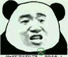 姚晨陶虹带你刷新育儿观 你的这做法竟错的离谱