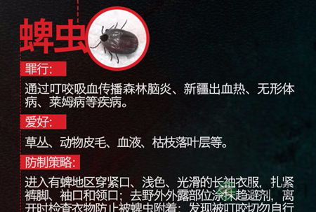 踏青注意蜱虫！携带病毒的“吸血虫”会致人死亡