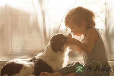 宝宝和萌宠同框 你先救谁？这是一道送分题