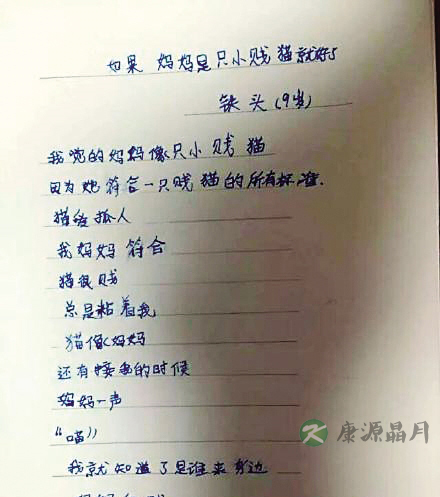 9岁男孩大胆诗句震惊网络：妈妈很贱 我很爱她