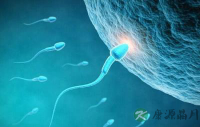 精子不液化影响正常生育 主要原因在肝肾