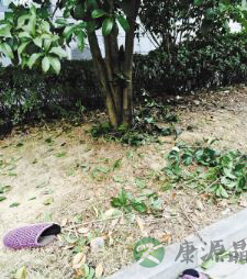 6岁男童从8楼坠下奇迹生还 如何预防儿童坠楼?