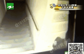 11岁女孩在自家小区被男子拉住 孩子如何自救?