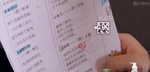 董洁是好妈妈吗？因为顶顶 她与父亲吵不停