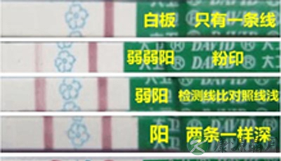 备孕二胎有技巧 教你自测排卵期轻松受孕