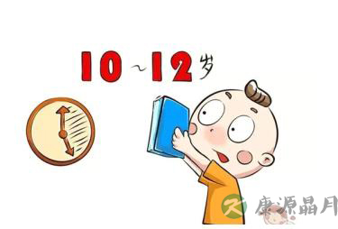 聚精会神的宝宝养成记