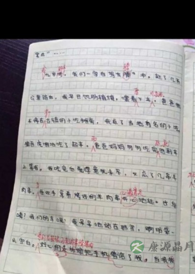 爆笑小学生作文：爸妈撸完串忘接我